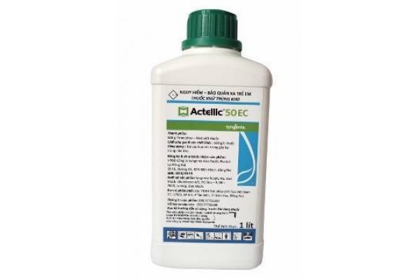 Thuốc diệt muỗi và côn trùng Actellic 50EC